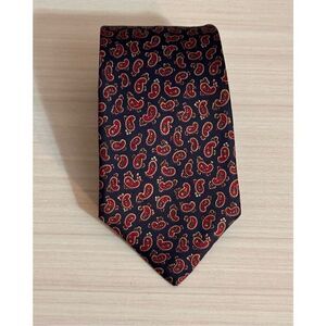 Master Paisley Silk Tie